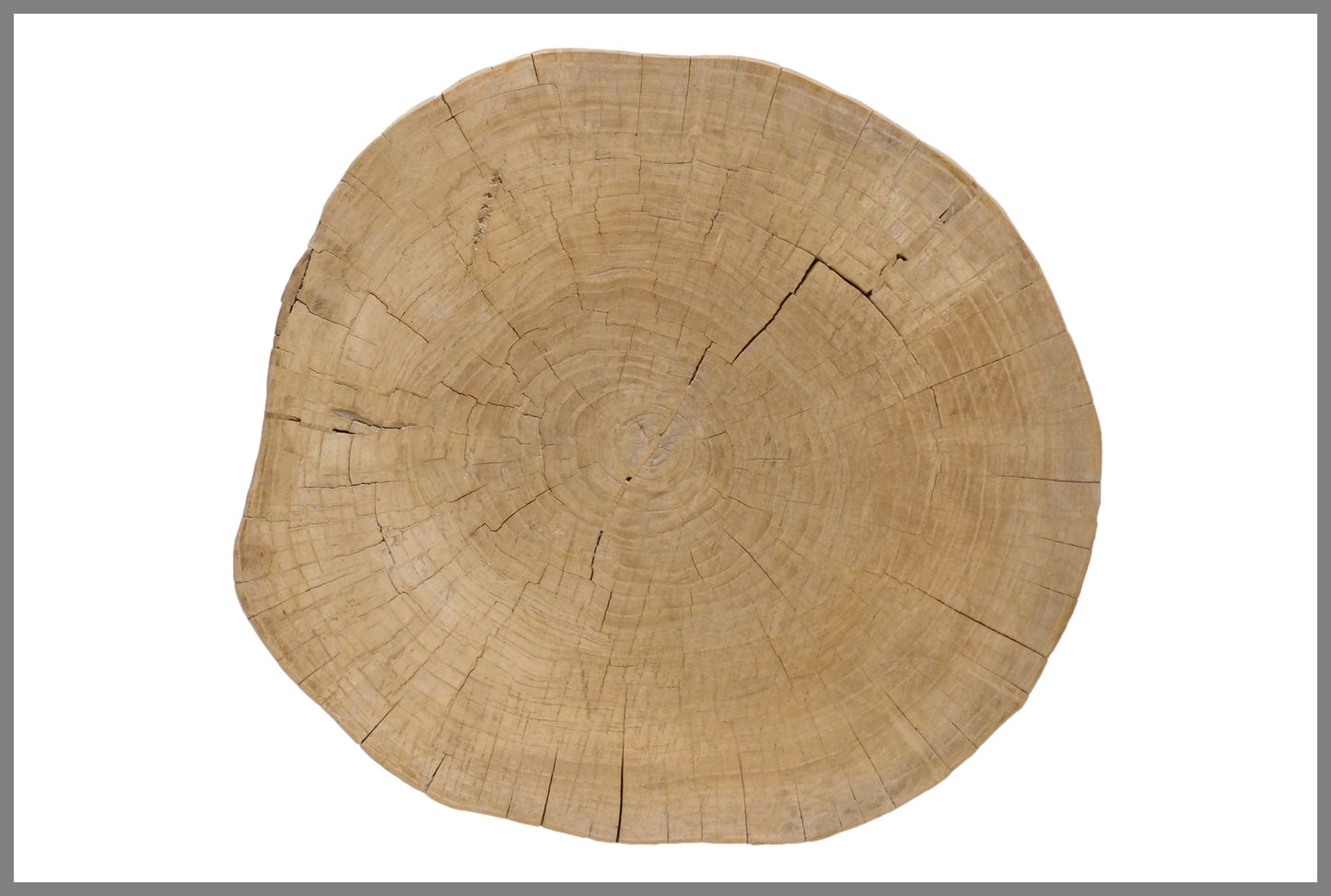 Tree Trunk Table
