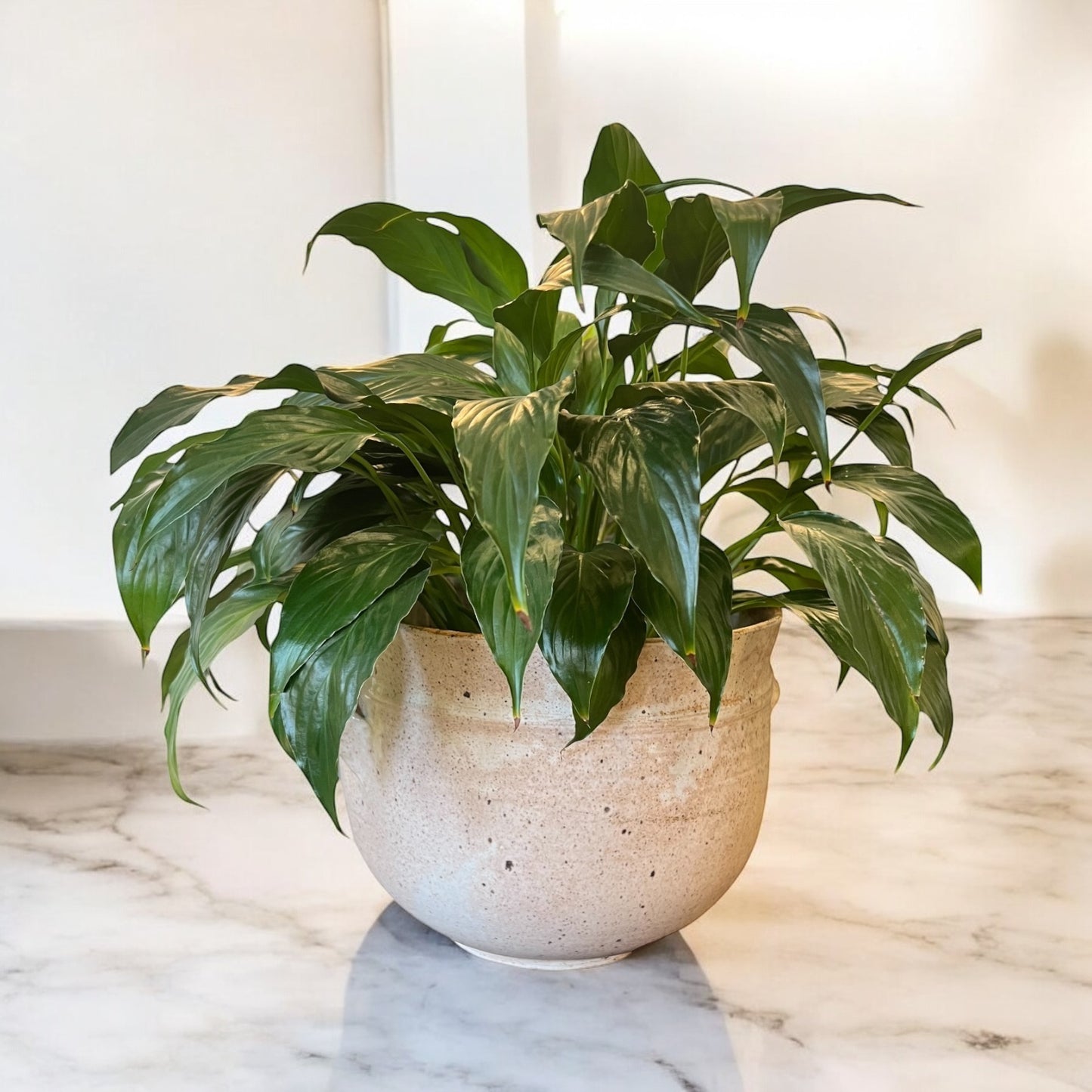 Beige Stoneware Pot