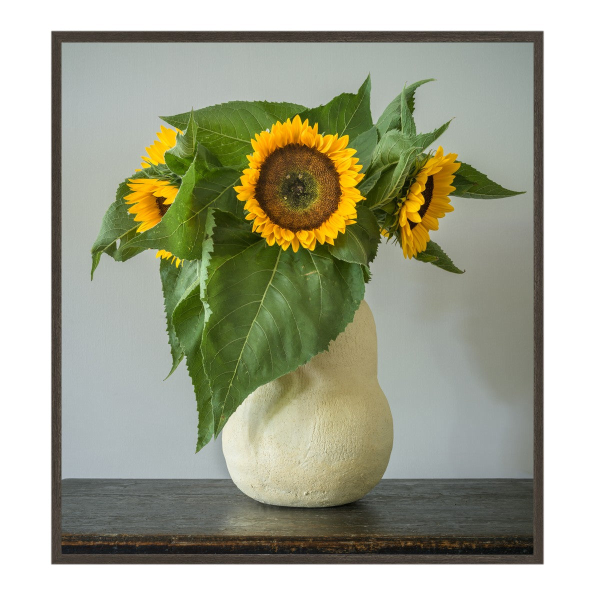 "Sunflowers" Photograph by Dale Goffigon