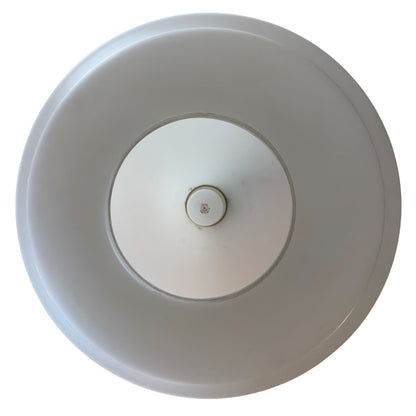 Molded and Frosted Glass Pendant Lights