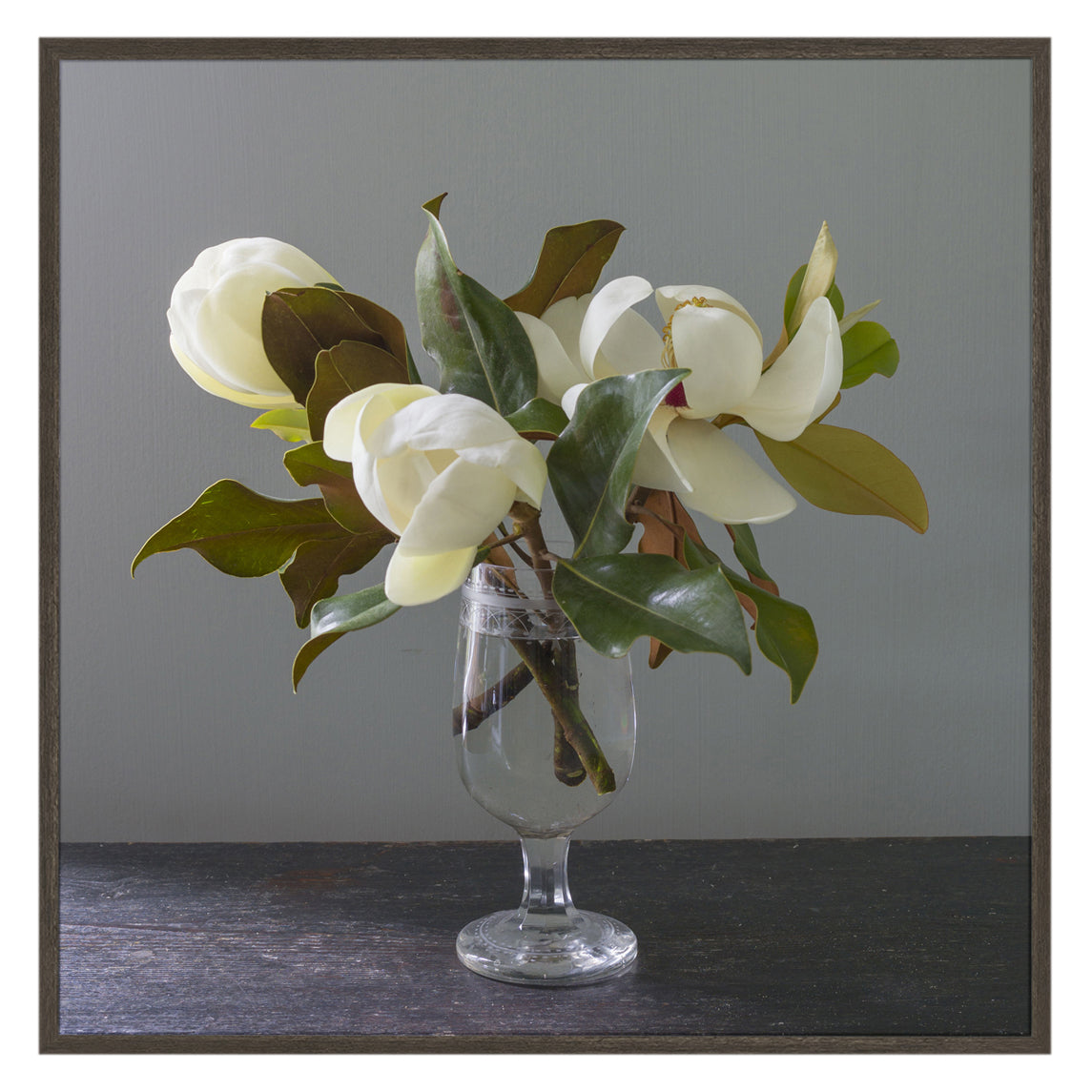 Photograph of Magnolia Branches in Vase