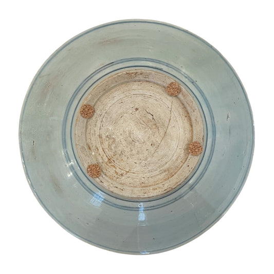 Hand Painted Chinese Plate