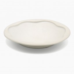 White Porcelain Plate
