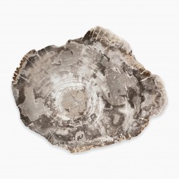 Gray Petrified Wood Platter