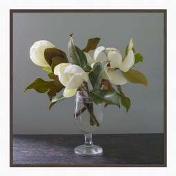 Photograph of Magnolia Branches in Vase