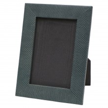 Blue Water Snake Picture Frame