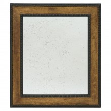 Gilt Wood and Ebonized Framed Mirror