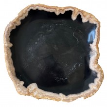 Petrified Wood Platter