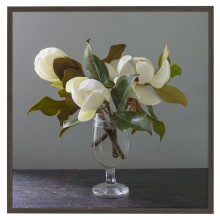 Photograph of Magnolia Branches in Vase