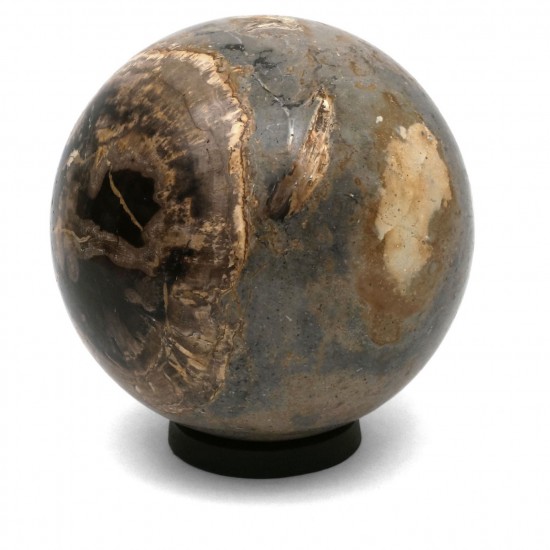 Petrified Wood Sphere On Iron Ring Base